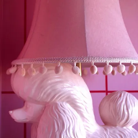 The Rozette Experience * 오스텐드