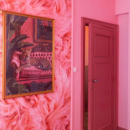 The Rozette Experience